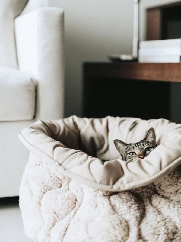 Haiwan TAART Reversible Donut Bed