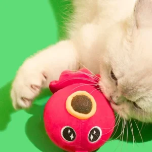 Haiwan Takoyaki Catnip Toy