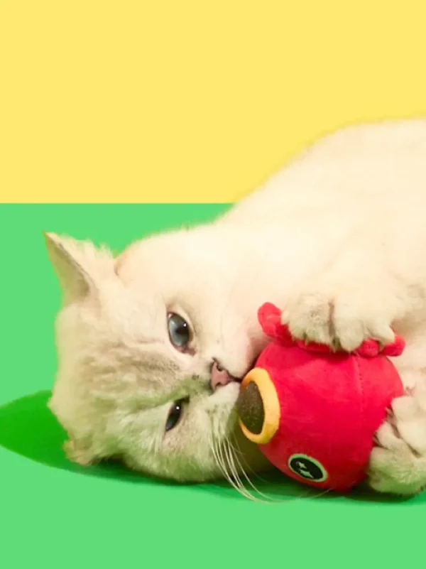 Haiwan Takoyaki Catnip Toy