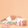 Haiwan Tulip Cat Teaser with Catnip