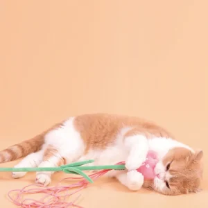 Haiwan Tulip Cat Teaser with Catnip