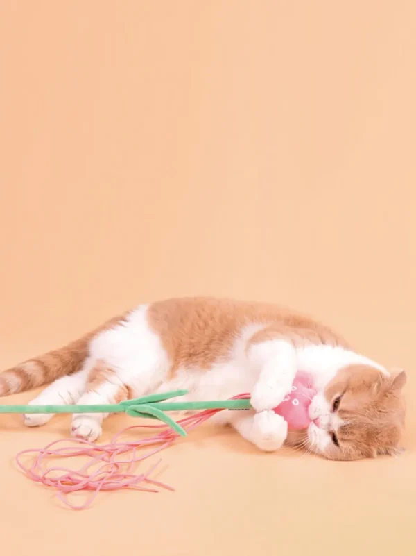 Haiwan Tulip Cat Teaser with Catnip