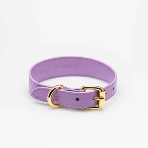 Haiwan Violet Croco Thin Leather Collar