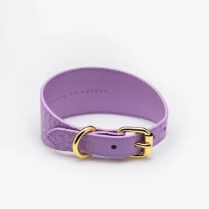 Haiwan Violet Croco Wide Leather Collar