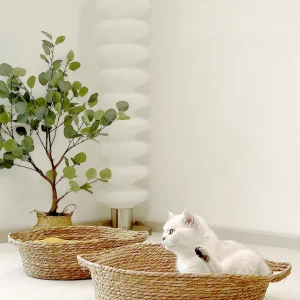 Haiwan Weaved Basket Nest