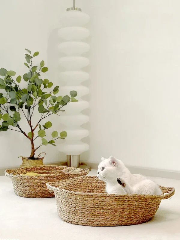 Haiwan Weaved Basket Nest