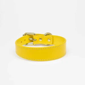 Haiwan Yellow Thin Leather Collar