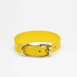 Haiwan Yellow Thin Leather Collar