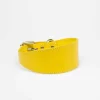 Haiwan Yellow Wide Leather Collar