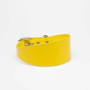 Haiwan Yellow Wide Leather Collar