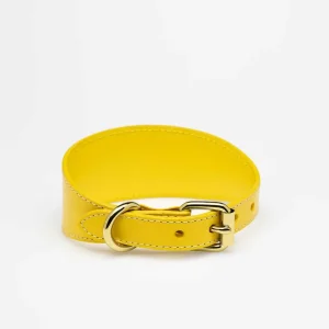 Haiwan Yellow Wide Leather Collar