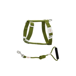 Haiwan Zooland Harness & Leash Set (Olive)