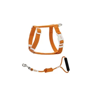 Haiwan Zooland Harness & Leash Set (Orange)