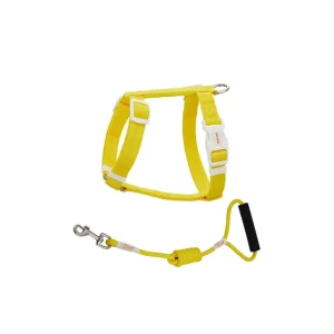 Haiwan Zooland Harness & Leash Set (Yellow)