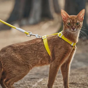 Haiwan Zooland Harness & Leash Set (Yellow)