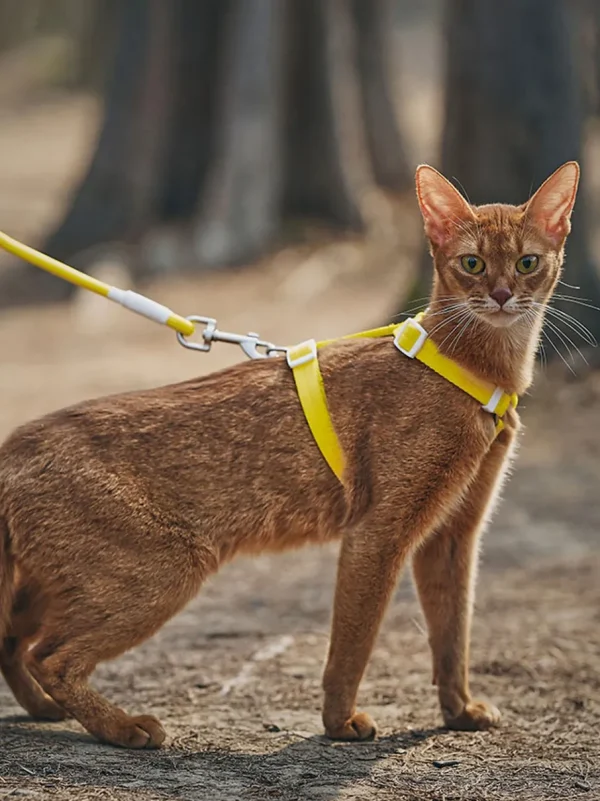 Haiwan Zooland Harness & Leash Set (Yellow)